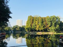 -西关竹园(荔枝湾店)