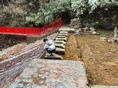 -安吉龙王山风景区