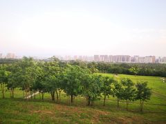 -汉长安城未央宫国家考古遗址公园