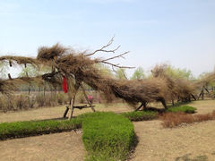 iphone_upload_pic-沈阳鸟岛