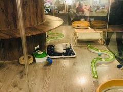 -宠物世家(仲盛世界商城店)
