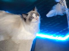 -零纪元VR体验馆·桌游(黄浦店)