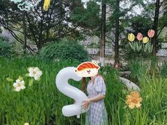 -成都市活水公园