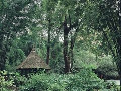 -成都杜甫草堂博物馆