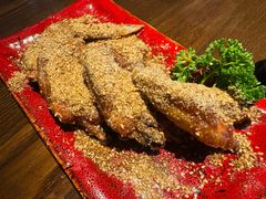 -鸟屯(三里屯店)