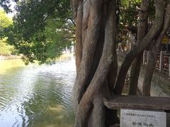 -小洲村