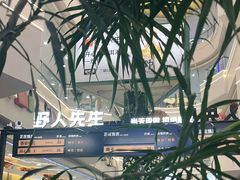 -野人先生Gelato(上海长宁龙之梦店)