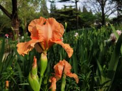 -国家植物园南园