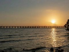 -宝安西湾红树林湿地公园