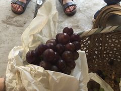 -马陆小张葡萄园农家乐