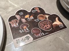 -芸山季·云南野生菌火锅(宝能环球汇店)