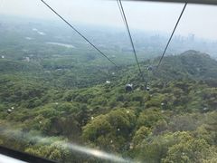 -紫金山天文台