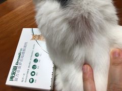 -立德动物医院·24小时中心(番禺区院区)