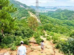 -灵岩山风景区