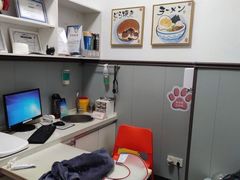 -伟伟宠物医院·瑞派猫友好医院·猫科(光谷店)