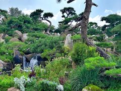 -罗红摄影艺术馆