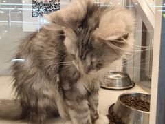 -星河湾温泉洗浴酒店