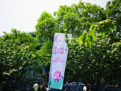 -嘉定紫藤园