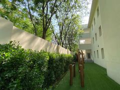 -柠檬国际幼儿园 Bright Academy