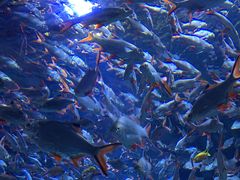 -成都浩海立方海洋公园