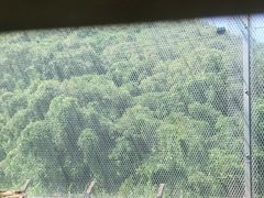 -原汁原味驴庄(长岭村店)
