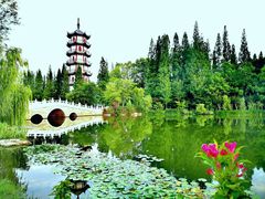 -桃花岛公园
