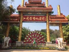 -蝴蝶泉公园