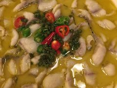 招牌青花椒鱼-十二饭点·川菜(北站圆融店)