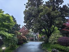 -浙江西子宾馆·牡丹厅