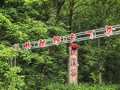 -参仙谷生态旅游度假区