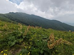 -灵山