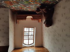 -金山农民画村-枫泾波兰倒置屋