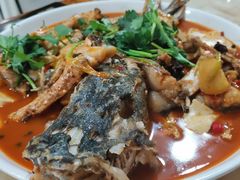 -煲来饱去冷水鱼