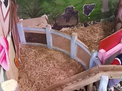 -正佳雨林生态植物园