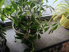 -可口香·非遗烧烤(南岗直营店)