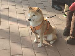 -方庄体育公园
