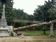 -瑞丽独树成林风景区