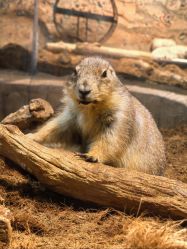 -Zoolung Zoolung动物主题公园(海信广场店)