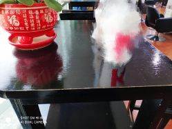 -88潮牌美发沙龙