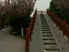 android_upload_pic-高东镇樱花园