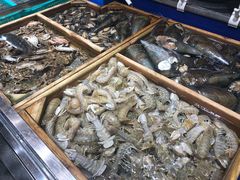-船歌·鱼水饺青岛菜(金狮广场店)