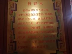 -蒙古大营·蒙古演绎餐厅(赛马场店)