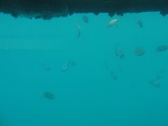 -亚龙湾海底世界
