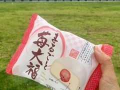 -濑长岛