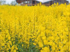 -中国天府农业博览园