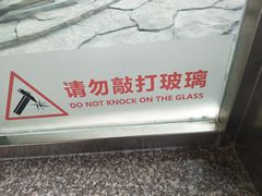 -泉州海丝野生动物世界