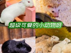-正佳极地海洋世界