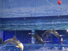 -多彩贵州城极地海洋世界