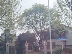 -堤角公园