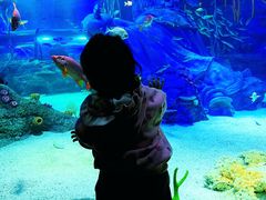 -沈阳海洋探索中心